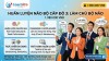 Brain Hành trình Chinh phục Năng lực Chuyên gia